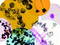 Thumbnail for version as of 20:07, 8 July 2015