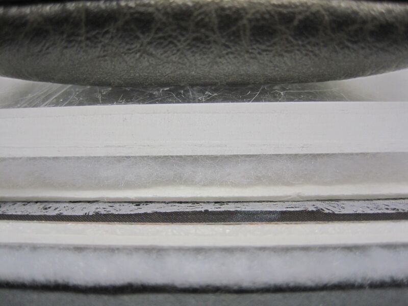 File:Felts blot polyweb photo.JPG