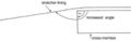 Thumbnail for version as of 15:24, 26 September 2009