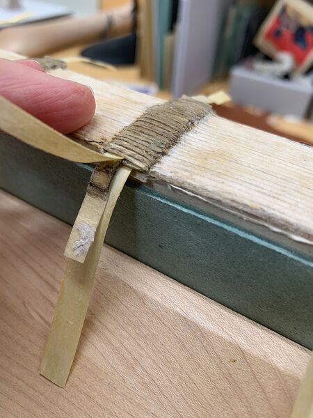 File:Ramieband parchment laces.JPG