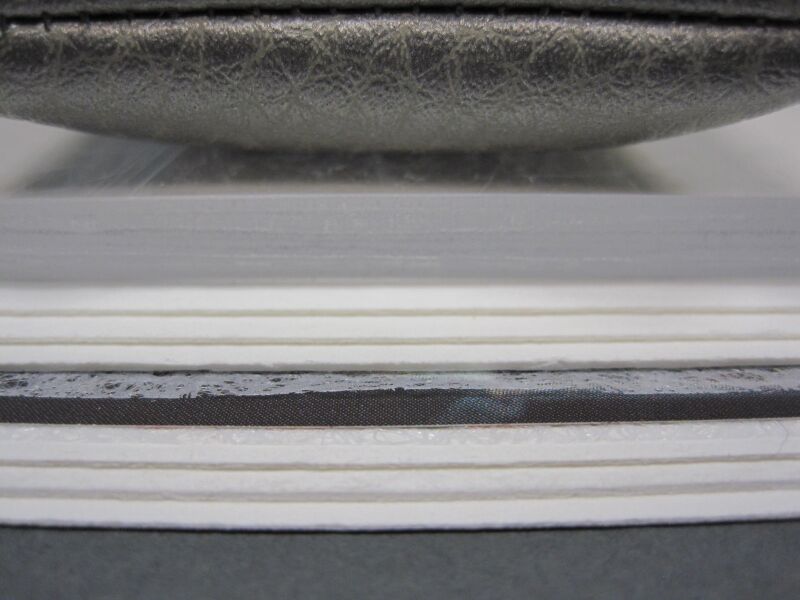 File:Blot polyweb photo.JPG