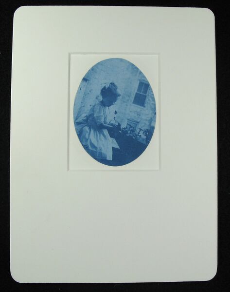 File:Pmgmattedcyanotype.jpg