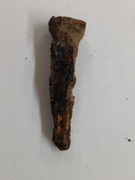 File:Rusty nail.jpg