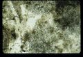 Thumbnail for version as of 15:53, 21 April 2016
