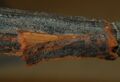Thumbnail for version as of 23:35, 11 June 2013