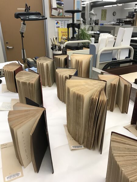 File:Drying wet books.JPG