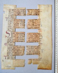 Two comb linings cut from a single 12th-century folio, reused in a 16th-century German binding. Lectionarium chori (Fragment), Budapest, Magyar Tudományos Akadémia Könyvtár és Információs Központ, T 338 (https://fragmentarium.ms/overview/F-boql)