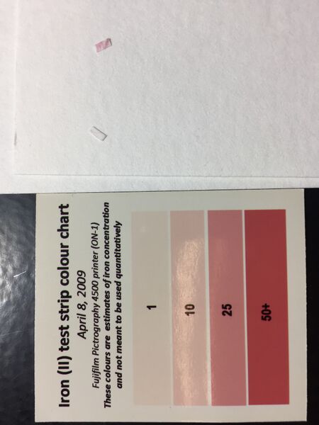 File:IGI-test-strips.JPG