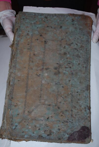 File:Moldy book-back cover (1).JPG