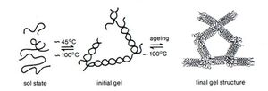Agarose gel formation scheme (Låås, T. 1975. Agar derivatives for chromatography, electrophoresis and gel-bound enzymes. Uppsala Univ., Diss.)