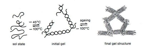 Gels - main