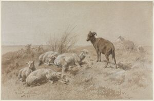 "Sheep", 1861, Rosa Bonheur. Brush and brown wash over graphite, heightened with lead white (partially oxidized to pink). The Cleveland Museum of Art (1915.716).