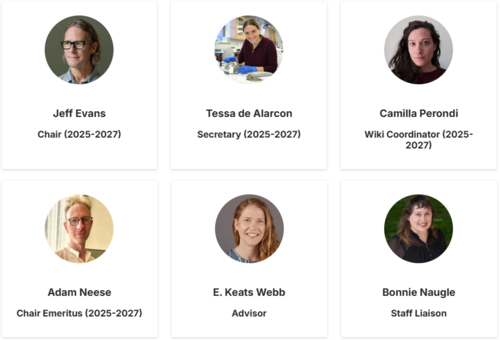 Profile photos with names and roles