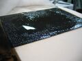 Dry plate negative following water incident, with swelling and lifting emulsiom