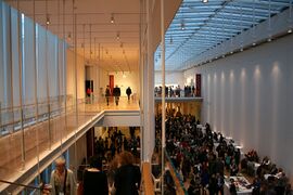 Opening Reception at the Art Institute of Chicago. May 2017.