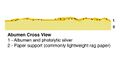 Thumbnail for version as of 02:20, 26 March 2014