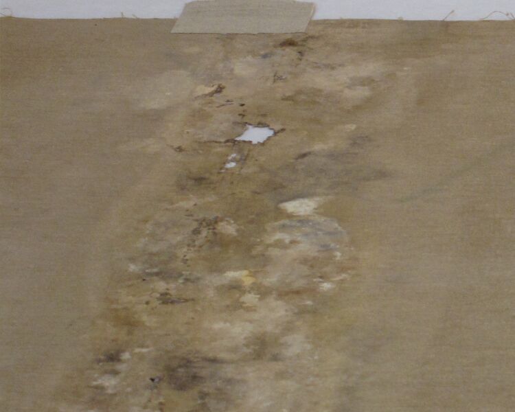 File:Mold damage reverse 2009.jpg