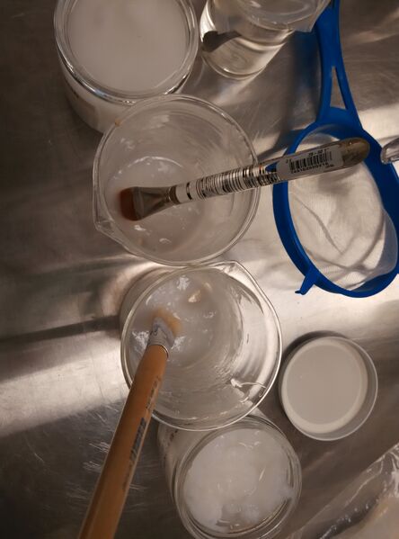 File:Wheat starch paste.jpg