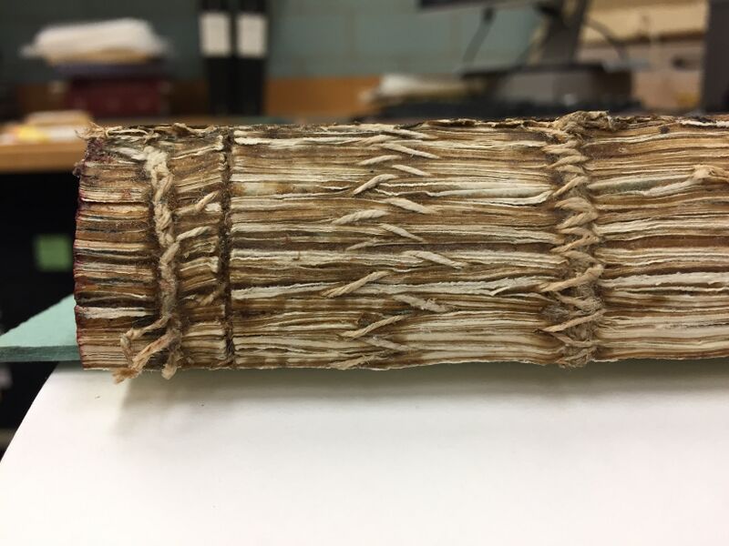 File:HandOversewingSpine.JPG