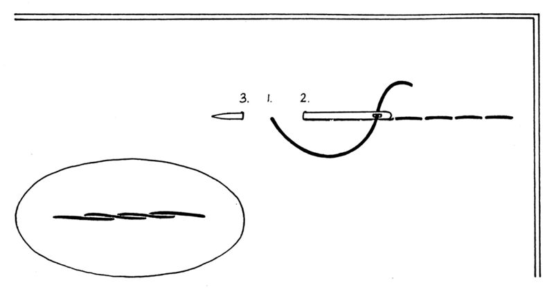 File:TSG-DHS-backstitch.jpg